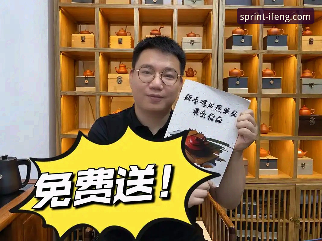 凤凰体育赛事直播完整指南：从技术评测到实战操作